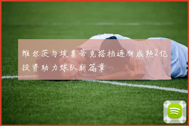 维尔茨与埃基蒂克搭档逐渐成熟2亿投资助力球队新篇章