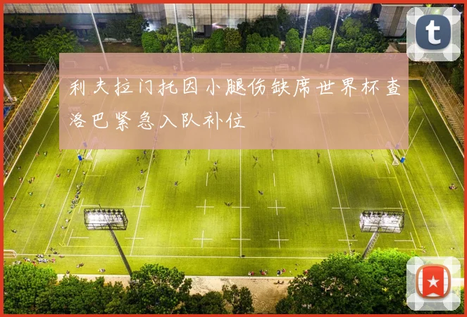 利夫拉门托因小腿伤缺席世界杯查洛巴紧急入队补位