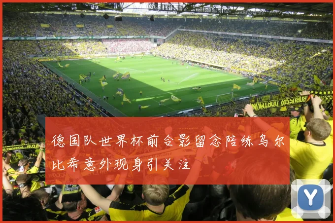 德国队世界杯前合影留念陪练乌尔比希意外现身引关注