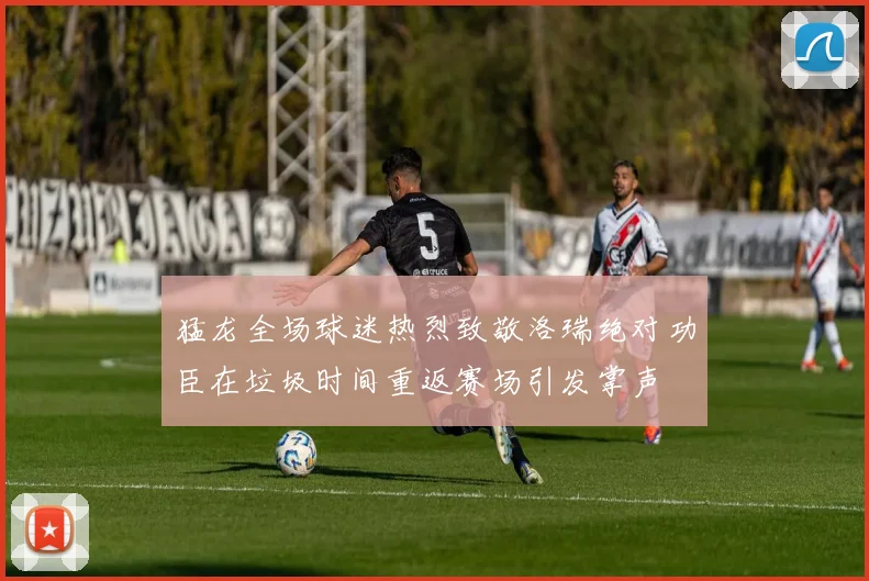 猛龙全场球迷热烈致敬洛瑞绝对功臣在垃圾时间重返赛场引发掌声
